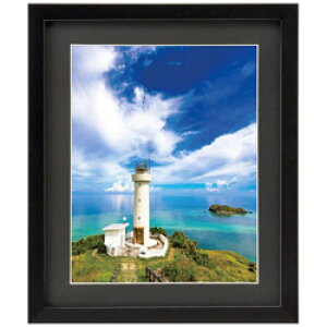 ハクバ 木製額縁 (6切サイズ/ブラック) FWMM01-BK6 FWMM01BK6