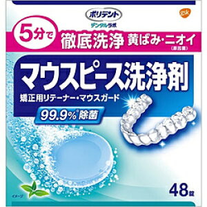 GSK f^{ }EXs[XEpe[i[p 48