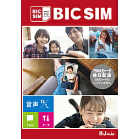 IIJ 【無料Wi-Fi付】BIC SIM ギガプランパッケージ（音声/SMS/データ/eSIM共通） IMB330