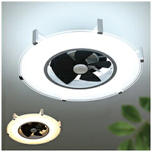 CtIv_Nc Modern Collection plCgT[L[^[ JAVALO ELF JE-CF029 m14 /dF`F /Rtn JECF029