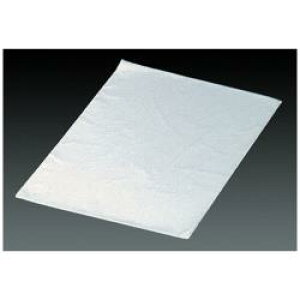  SAOV(500) p WGL01 WGL01 [Us]