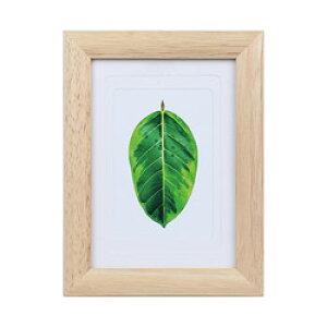 KenkoTokina(PR[EgLi[) ʐ^ā@S̖ i` PSGMNA PSGMNA [Us]