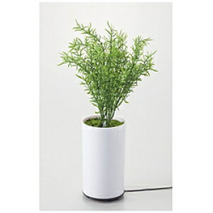 CVO O[fBt[U[ ^CvB 70091 mgn 70091