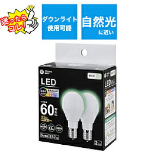 ORIGINAL BASIC LED�d�� �����F LDA6N-G-E17/SK60XOS-2P �mE17 /��ʓd���` /60W���� /�����F /2�� /�L�z���^�C�v�n LDA6NGE17SK60XOS2P