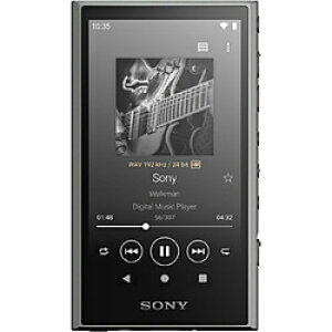 SONY(\j[) EH[N}WALKMAN2023Nf O[ NW-A307 HC mnC]Ή /64GBn NWA307HC