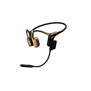 AVIOT u[gD[XCz `Cz bronze gold WB-E1M-GL m` /BluetoothΉn WBE1MGL