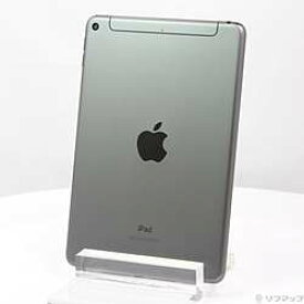 【中古】Apple(アップル) iPad mini 第5世代 256GB スペースグレイ MUXC2J／A auロック解除SIMフリー【291-ud】