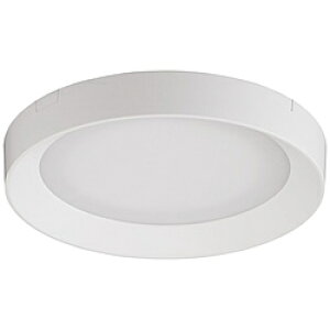 �A�C���X�I�[���} ���^�V�[�����O���C�g �����t���[���^�C�v 1500lm �d���F SCL150L-DU �m�d���F /LED�n SCL150LDU