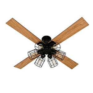 ���C�t�I���v���_�N�c Modern Collection �V�[�����O�t�@�� �t�B�������gLED 6�� JAVALO ELF JE-CF048-BK �m�����R���t���n JECF048