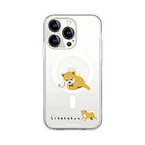 ROA iPhone 15 Pro ���΂����� MagSafe�Ή� �N���A�P�[�X abbi FRIENDS �{�[������Ă��� ABF25367i15PR ABF25367I15PR