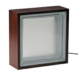 CVO KXubNCg (ACdA_v^[t) tXg 20995 mLEDn 20995