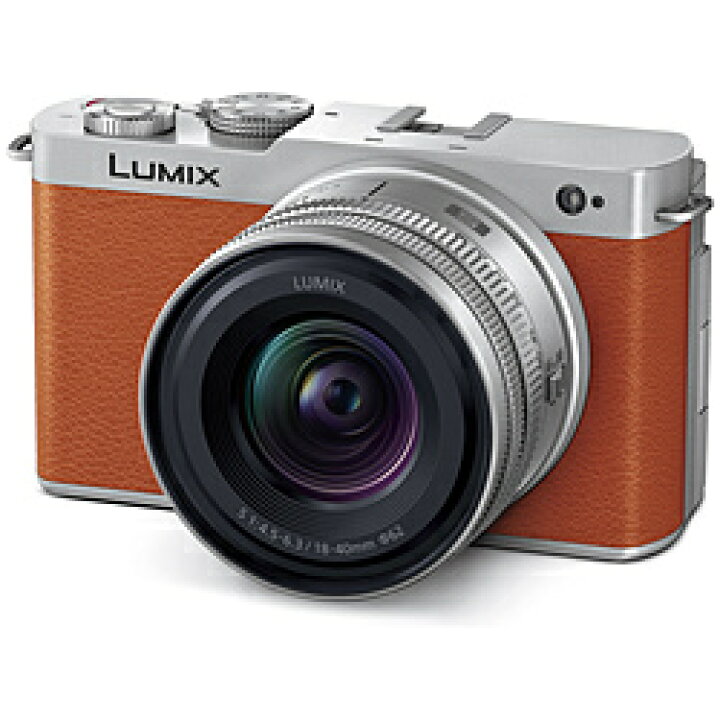 楽天市場】Panasonic(パナソニック) LUMIX S9 広角ズームレンズキット 