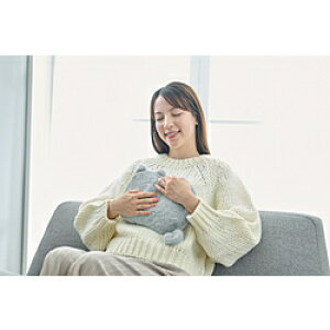 ラドンナ レンジですぐにホッカホカジェル湯たんぽ hocca ねこ RX43-JY-GY RX43JY