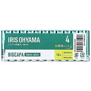 ACXI[} BIGCAPA basic+ P4AJdr12{pbN m12{ /AJn LR03BBP12S