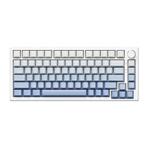 VGN Q[~OL[{[h(sbhgK[Ή) VGN A75(pz) OfBGgu[ VGN-A75-GB mL /USBn VGNA75GB