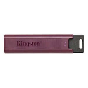 Kingston DTMAXAR/1TB �O�t��SSD USB-A�ڑ� DataTraveler Max(Chrome/Mac/Windows11�Ή�) �m1TB /�|�[�^�u���^�n DTMAXAR/1TB