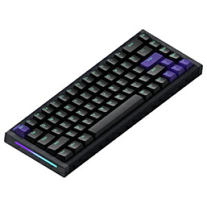 NUPHY �Q�[�~���O�L�[�{�[�h(���s�b�h�g���K�[�Ή�) NuPhyX BH65(Magnetic Jade Gaming���E�p��z��) b65g �m�L�� /USB�n b65g