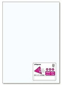 剮X gJ[y[p[h   iA5TCYE100j@i-5201