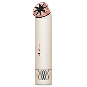 Dyson(�_�C�\��) Dyson HushJet Mini Cool �n���f�B�t�@�� �X�g�[�� / �u���b�V�� PF01SB PF01 �y7�����{�ȍ~�o�ח\��z