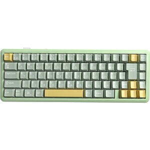 AULA �Q�[�~���O�L�[�{�[�h AULA F65J(Star Vector Switch) Green Yellow F65J-SV-BO �m�L���E���C�����X /���{��z�� /���J�j�J���n F65J-SV-BO �y864�z