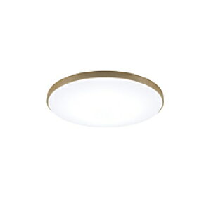 Panasonic(�p�i�\�j�b�N) LED�V�[�����O���C�g�@�J���[�t���[���V���[�Y�@�E�b�f�B�O���C���@�o�[�`�@�`8�� �p�i�\�j�b�N �o�[�` HH-CN0848A-C �m8�� /�����F�`�d���F /�����R���t�� /�d�C�H���s�v