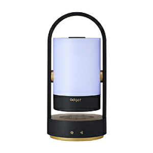 ADGET ���[�����C�g�v���W�F�N�^�[ Adget Vesper - Room Light Projector �u���b�N ADGET-VES-BLACK ADGET-VES-BLACK