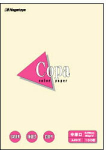 剮X i-2202 J[y[p[CopaiRpj B4  100