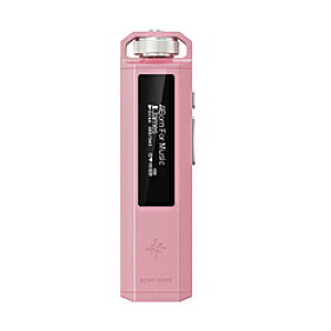 FiiO(�t�B�[�I) �|�[�^�u���I�[�f�B�I�v���C���[ Snowsky ECHO NANO Pink FIO-SSENANO-P �m�n�C���]�Ή��n FIOSSENANOP