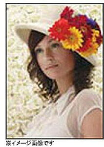 EPSON(Gv\) yz vtFbVitHgy[p[ 茦 i610mm×30.5mE1[j@PXMC24R11 PXMC24R11