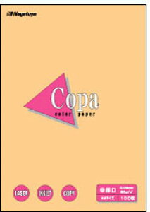 剮X i-3218 J[y[p[CopaiRpj A4 IW 100