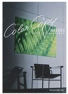 ɓ HP514 }`y[p[ nCp[[U[ i`zCg 200g/m2 A4(250) 0.200mm HP514