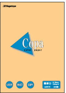 剮X i-4518 J[y[p[Copa(Rp) Ō B5 IW 25