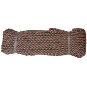 ^JCN [v@PPgbN[viOBj@12×30@TRP6 TRP6