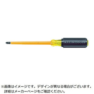 KLEIN KLEIN�@�≏�v���X�h���C�o�[�@2X100 6034INS 6034INS