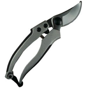 i DAISHIN@EG@A~_CLXgDX@502099 502099