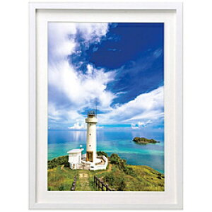 ハクバ 木製額縁 (A4サイズ/ホワイト) FWMM01-WTA4 FWMM01WTA4