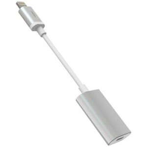 radius(���f�B�E�X) iPad / iPad mini / iPhone / iPod�Ή��@Lightning iOS��p�O���X�g���[�W External Storage for iOS �i32GB�E�V���o�[�j�@AL- ALLCS21S