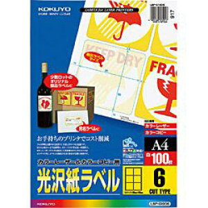 �R�N�� �J���[���[�U�[���R�s�[�p ���򎆃��x�� �iA4�T�C�Y�E6�ʁE100���j�@LBP-G1906 LBPG1906