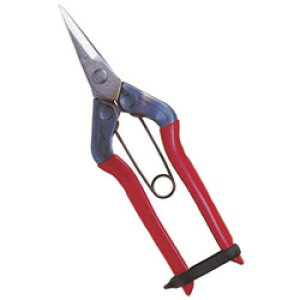 �ߐ� �X�e�����X�E���� T500S