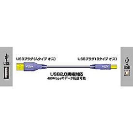 JVCケンウッド USBケーブル(2.0対応)1m [VX-U110] VXU110