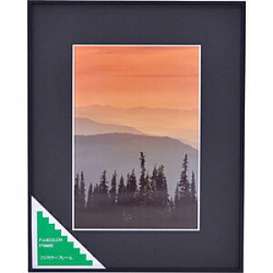富士フイルム(FUJIFILM) アルミ額縁 A300 (ワイド4切) A300