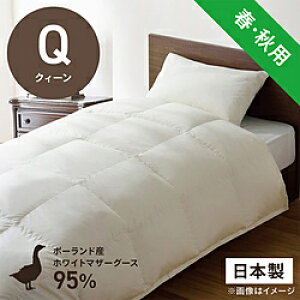 эH[ |HѕzcuтӂƂv PM510-A [NB[(210×210cm) /tEHp /|[hYzCg}U[O[X_E95 ] PM510A_Q_NA yLZsz