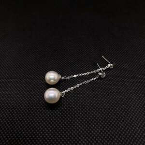 ^sAX ^sAX p[sAX 8D5~p[sAX zCgsN SV Vo[ 킢  JWA l OWA[p[ w  Ǝ  