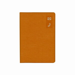 �_�C�S�[ �傫��������A�h���X �x�[�W�� �A�h���X�� �Z���^ G6938