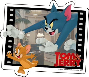 gƃWF[  _CJbgXebJ[A IS-695 CbN