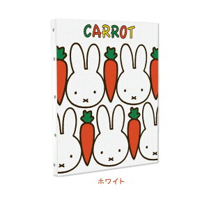 ~btB[ LoXA[g CARROT zCg 4546598521498