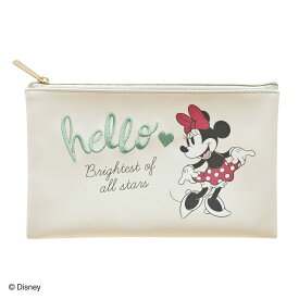 ディズニー フラットペンケース 筆箱 ミニーマウス ミッキー&フレンズ N1717 ダイゴー N1717