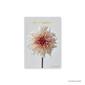 JԒd |XgJ[h _A 3 N7723 _CS[