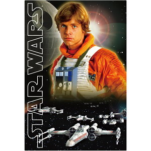 STAR WARS X^[EEH[Y 3D|XgJ[h IWiEgW[ [N Luke-Pirot S3757 _CS[