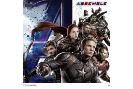 MARVEL マーベル AVENGERS ENDGAME/ 壁紙素材ウォールステッカー　6シートタイプ アイアンマン キャプテン・アメリカ ハルク マイティ・ソー ホークアイ ブラック・ウィドウ アントマン Wall Paper_M029-6 プリテック